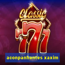 aconpanhantes xaxim